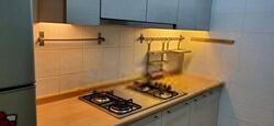 Blk 518B The Premiere @ Tampines (Tampines), HDB 5 Rooms #407813231
